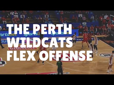 The Perth Wildcats Basketball Flex Offense