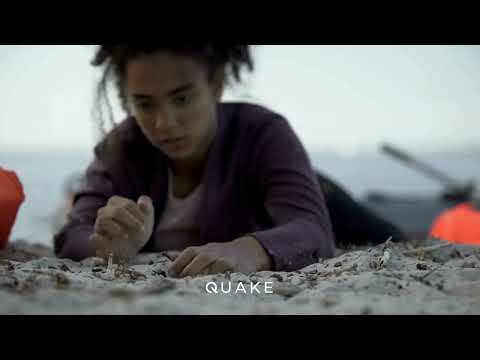 Quakecore Future of Decentralized Earthquake Detection Network
