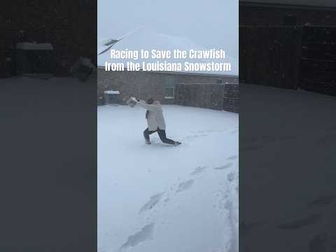 Crawfish Rescue Mission in the Louisiana Snowstorm! 🦞❄️