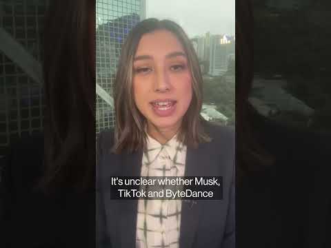 Could Elon Musk Buy TikTok US?