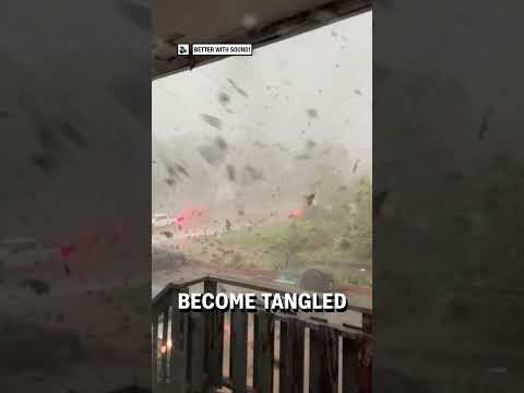 What it&#039;s like inside a tornado! 🤯🌪️ - 🎥 Viralhog