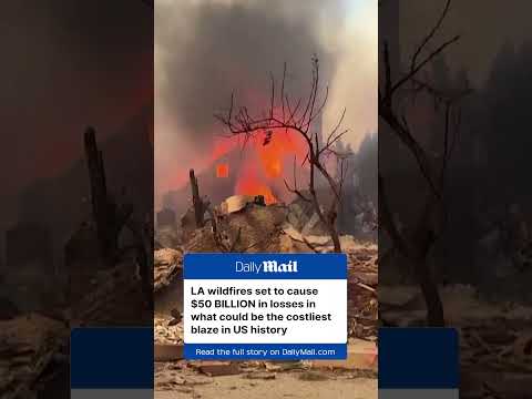 LA wildfires set to cost $50 billion in losses