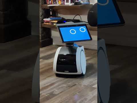 Astro Robot- Likes Baseball ⚾. #robot #robotics #realrobot #astro #astrorobot
