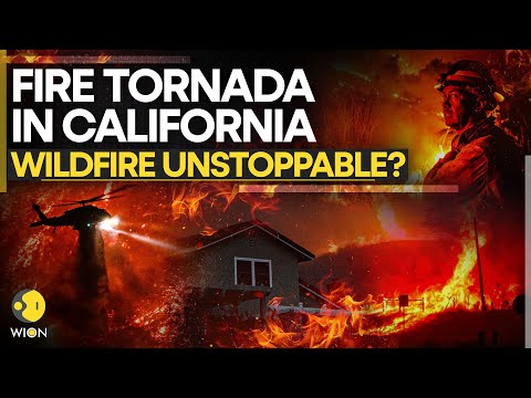 California Wildfire LIVE: Destructive Fire Tornado In Los Angeles Set To Wipe Off LA? | US News LIVE