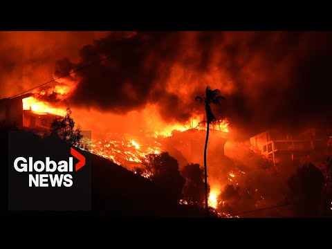LA wildfires: How record rain contributed to the devastation of the California fires