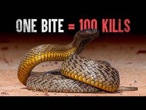 They Faced The World’s Deadliest Snake And Lost