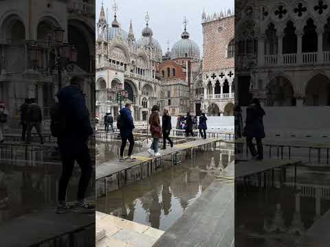 Ever Wonder What Venice Looks Like Flooded?