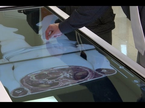 Ivy Tech&#039;s Digital Cadaver Builds Experience In 3D Environment